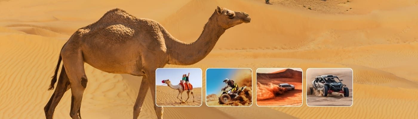 Desert Safari Dubai in 99 AED