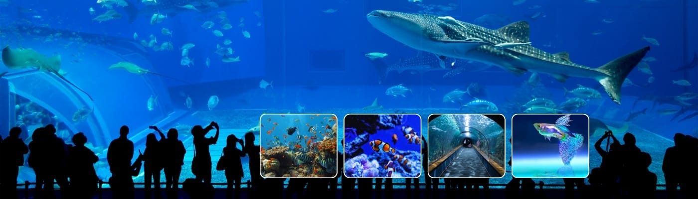 dubai tours