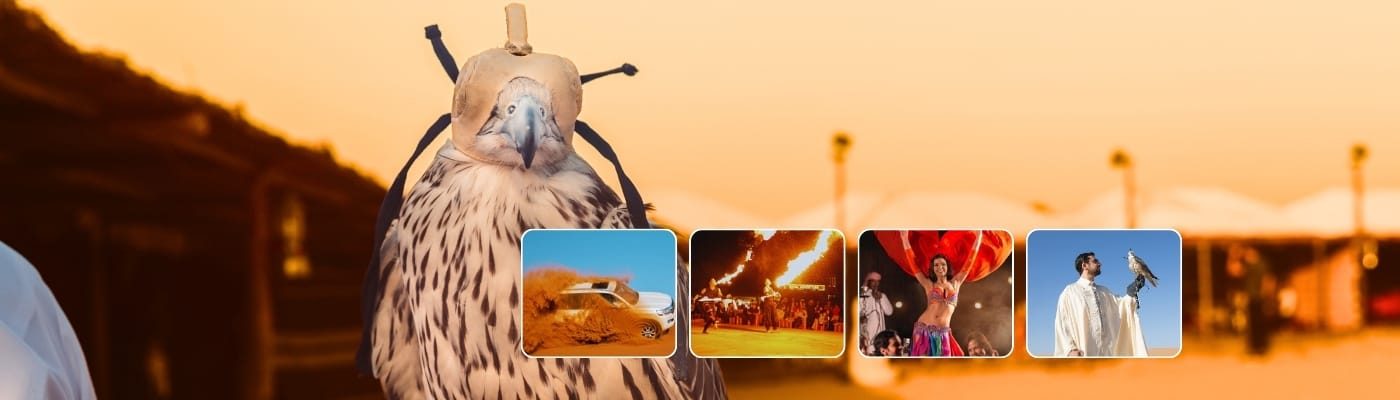 Desert Safari With Falcon Photo