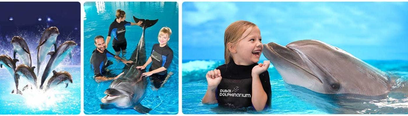 Dolphinarium Dubai Tickets