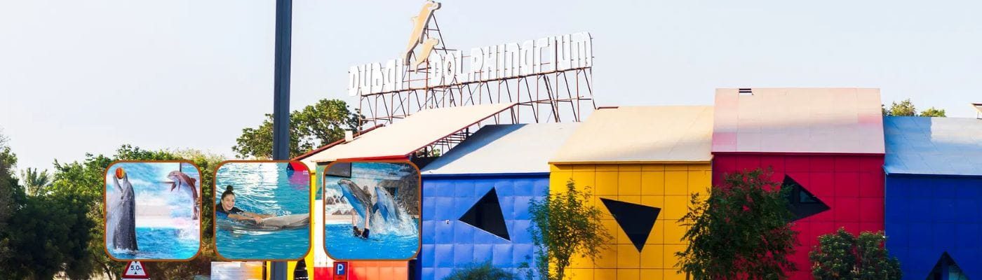 Dolphinarium Dubai Tickets