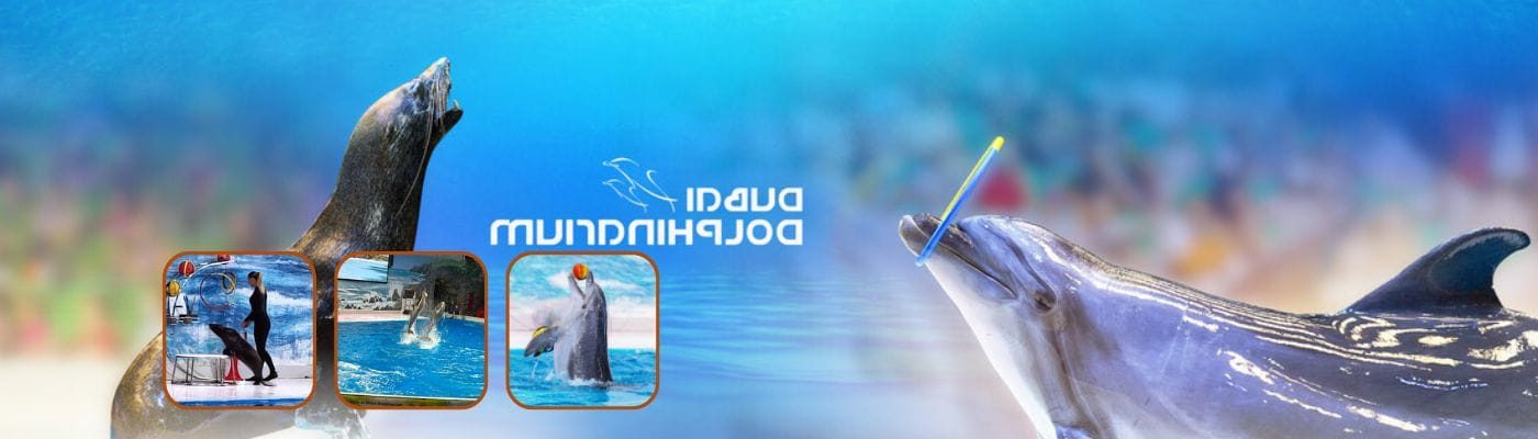 Dolphinarium Dubai Tickets