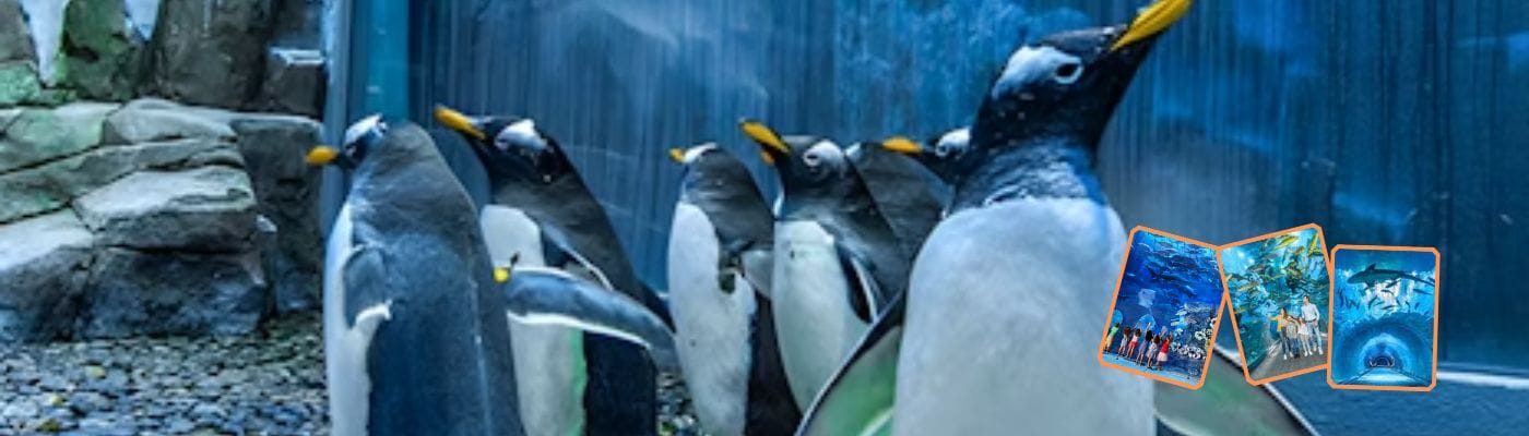 Dubai Aquarium and Underwater Zoo