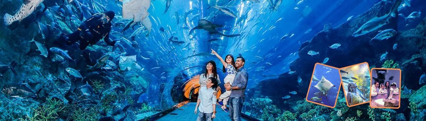 Dubai Aquarium and Underwater Zoo