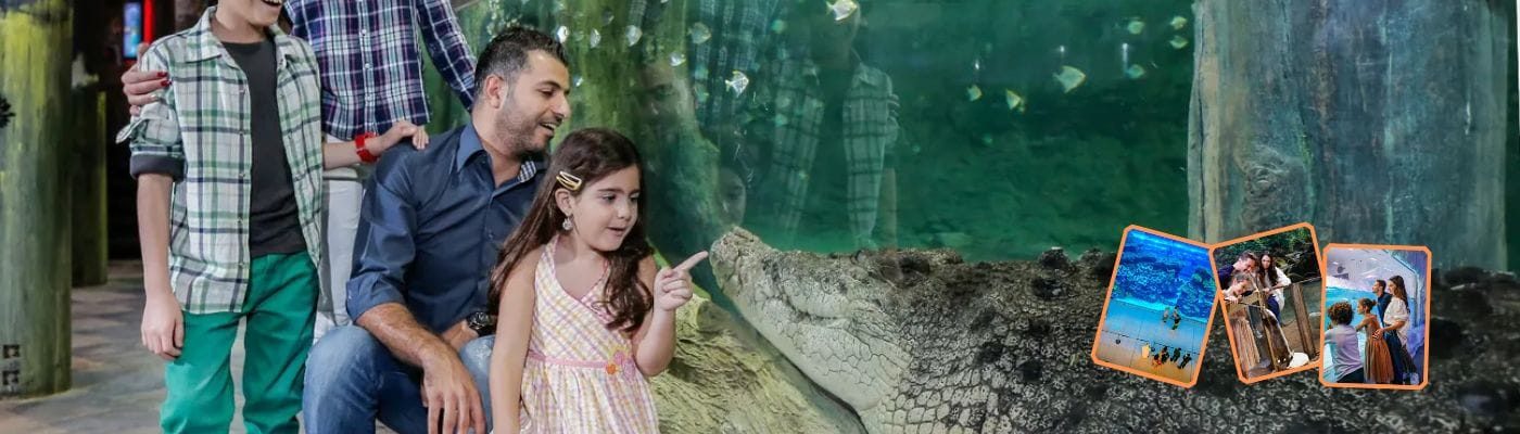 Dubai Aquarium and Underwater Zoo