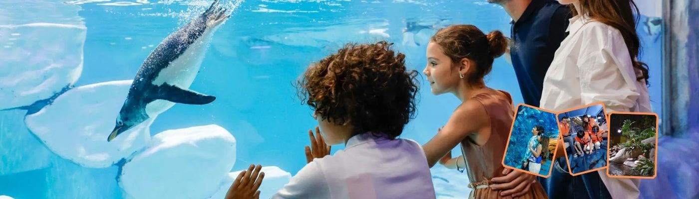 Dubai Aquarium and Underwater Zoo