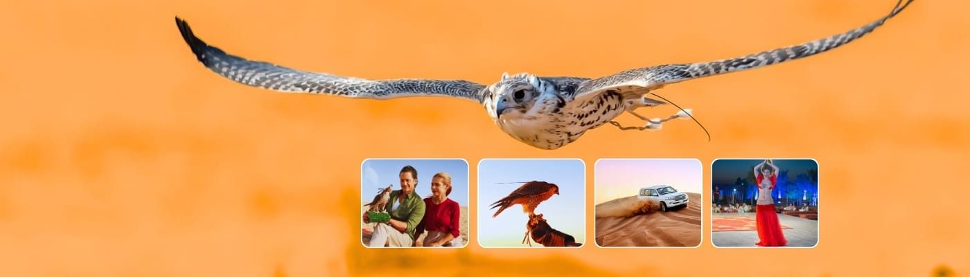 Desert Safari With Falcon Photo