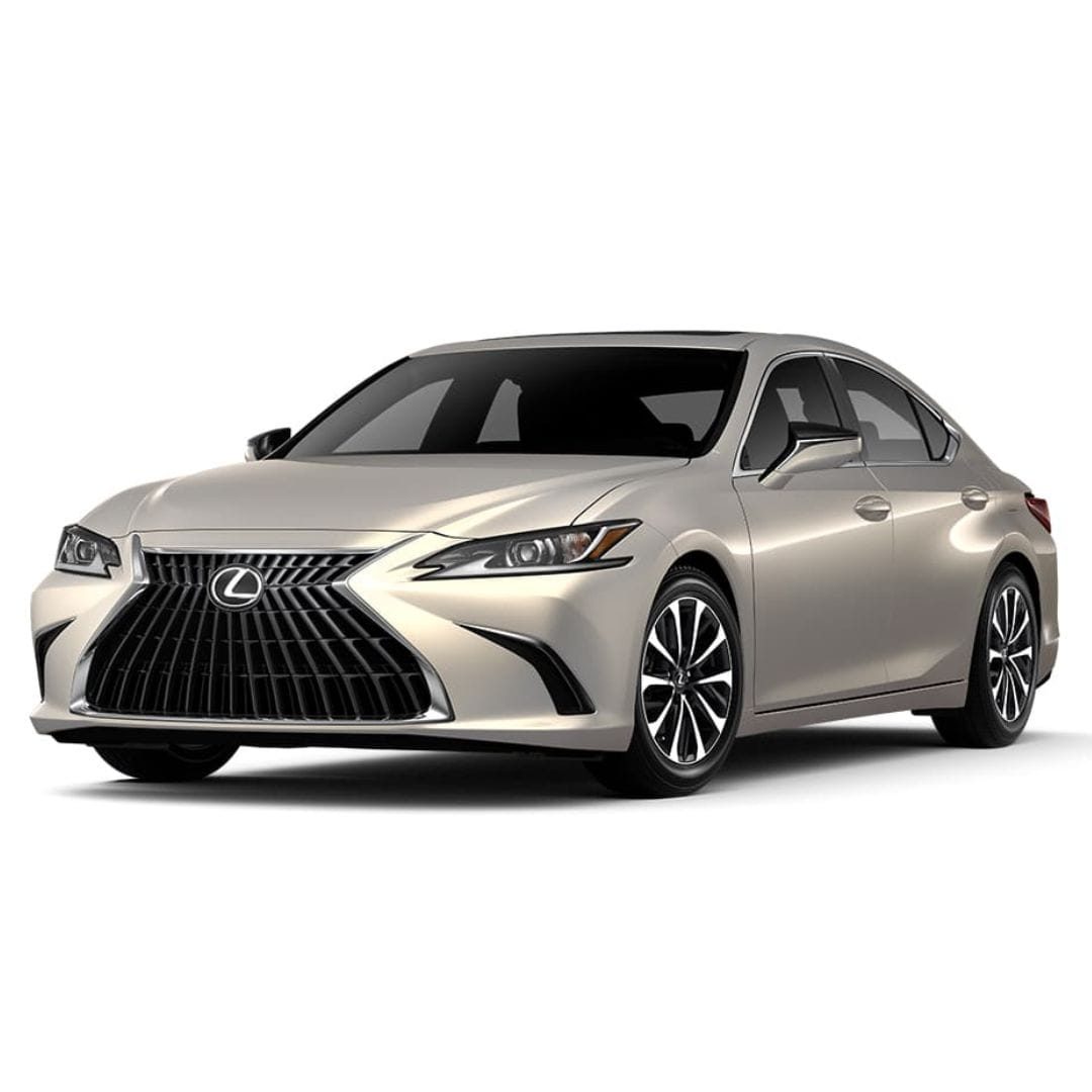 Private City Tour by Lexus