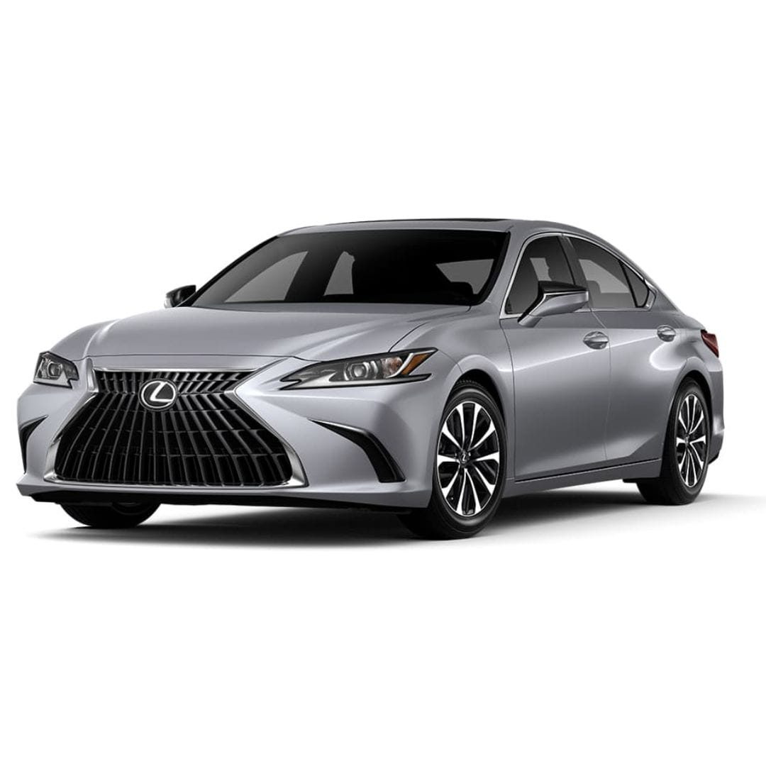 Private City Tour by Lexus