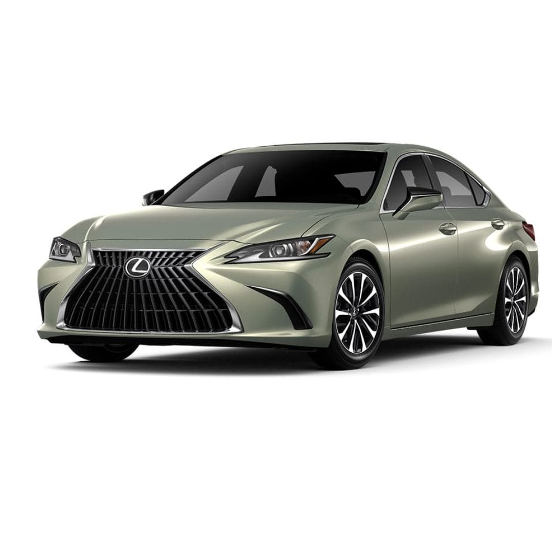 Private City Tour by Lexus