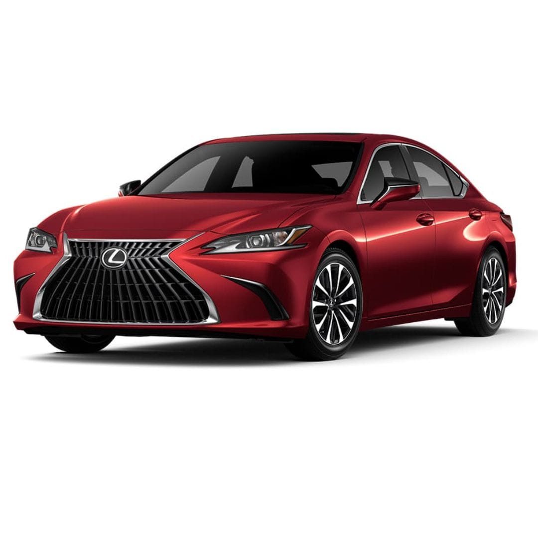 Private City Tour by Lexus