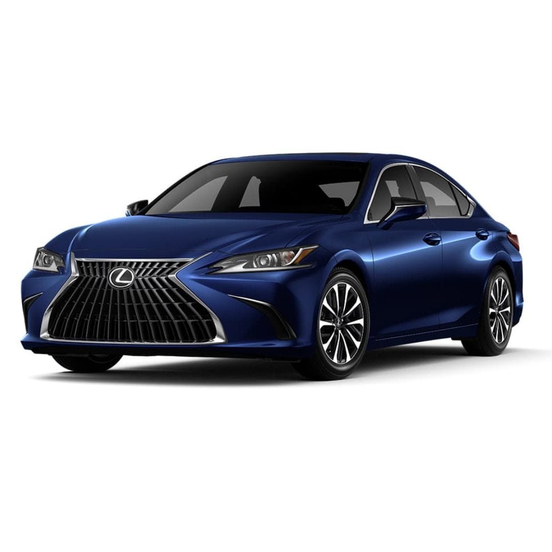 Private City Tour by Lexus