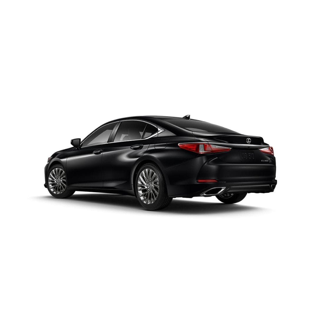 Private City Tour by Lexus