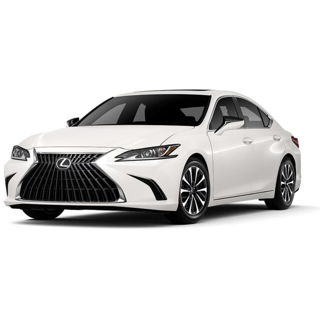 Private City Tour by Lexus
