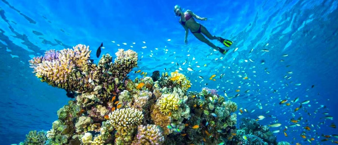 Scuba Diving