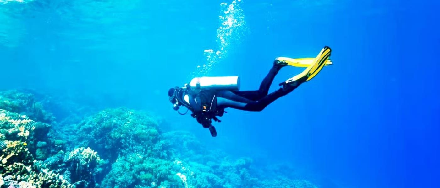 Scuba Diving