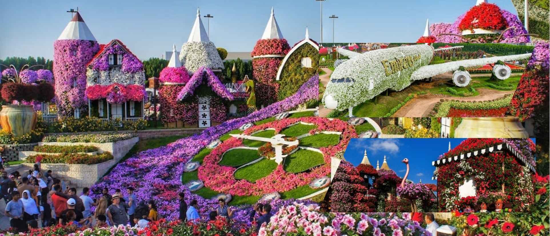 Miracle Garden Dubai
