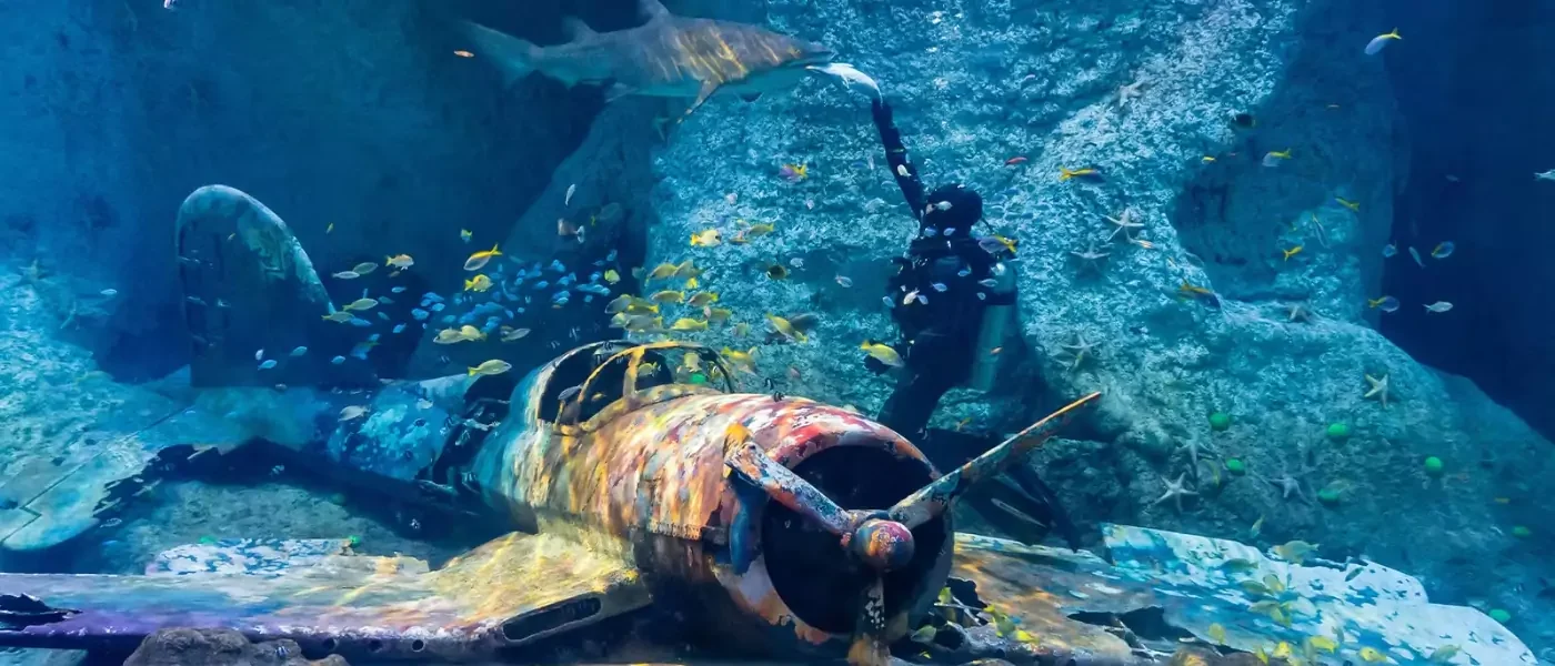 Al Qana National Aquarium