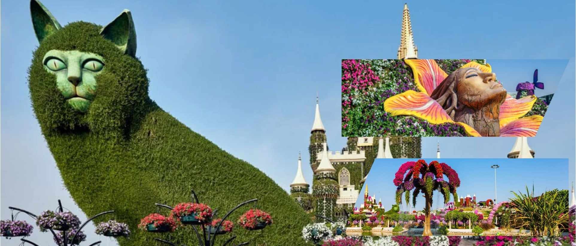 Miracle Garden Dubai